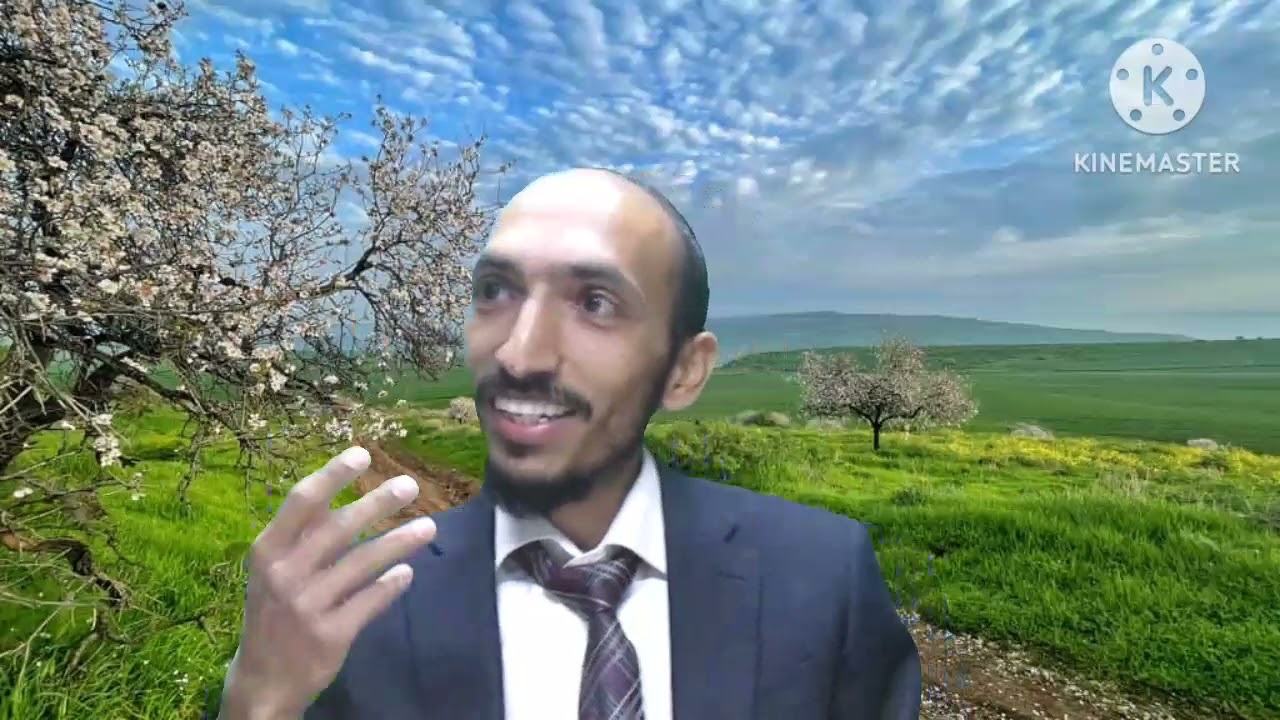 מזימת אחי יוסף
