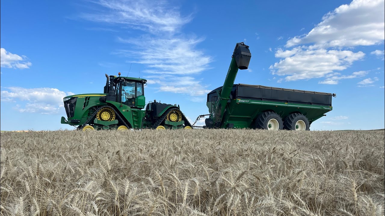Harvesting Our Biggest Field - North Dakota Wheat Harvest 2023