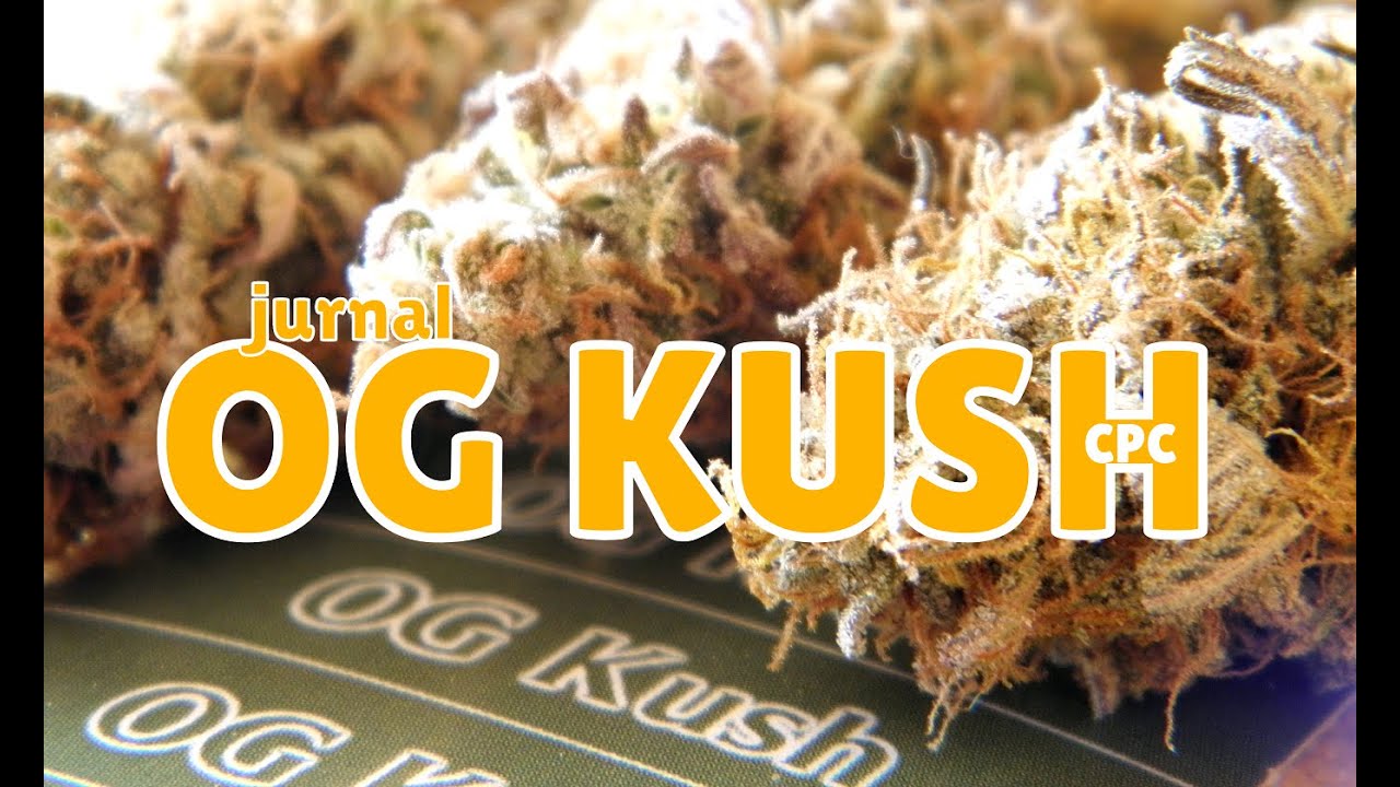 OG Kush - Jurnal 42