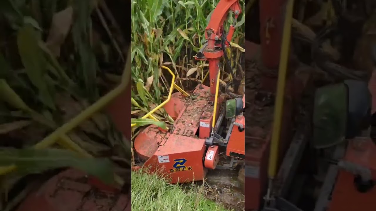 #Mini silage harvester#Grass forage harvester#Silage machine