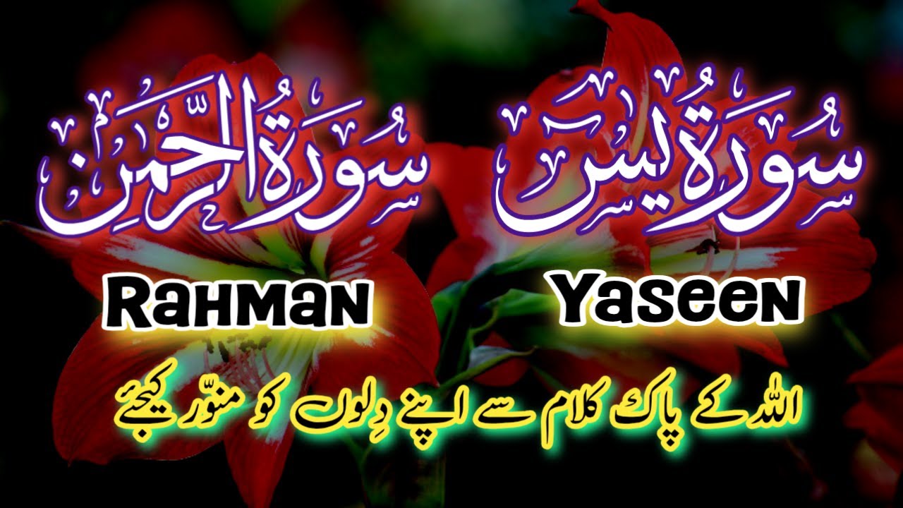 Surah Yaseen | Surah Rahman | سورہ یٰس ،سورۃ رحمٰن | Magical Recitation | Quran Tilawat |