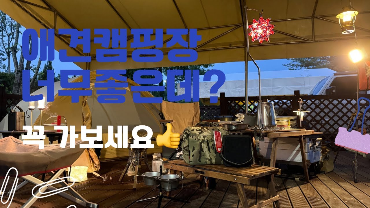 애견전용 운동장에 산책로~샤워실도 역대급?👍👍애견캠핑장 꼭 가보세요~꼴로르.빌리디자인.캠핑.스노우피크코트텐트.헬리녹스