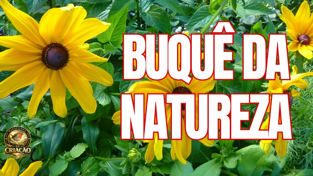 BUQUÊ DA NATUREZA