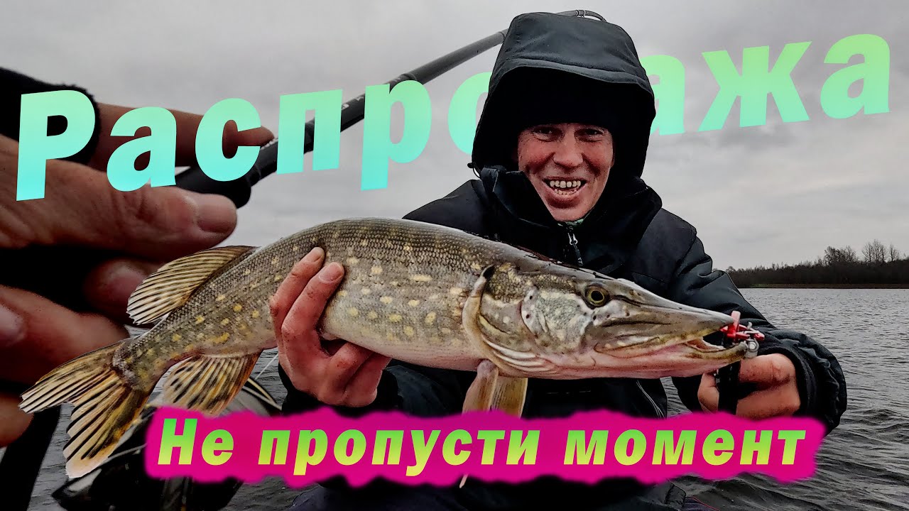 Ленивые щуки все попрятались, но есть хорошая новость Распродажа CF