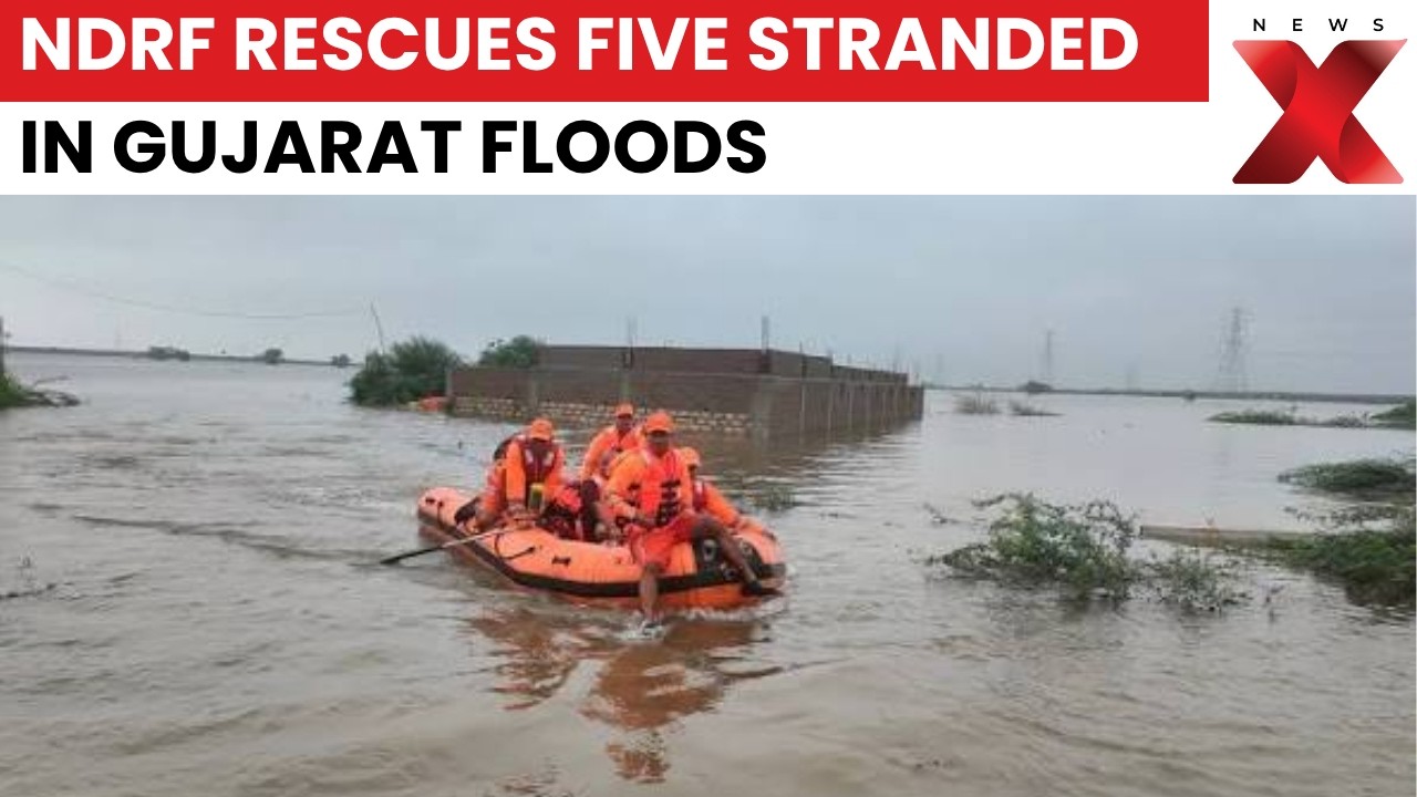 Gujarat Floods: NDRF Rescues Five Stranded People Amid Severe Flood Conditions in Gujarat's Morbi Di