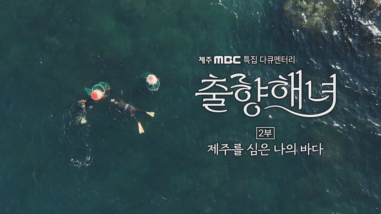 특집 다큐멘터리 출향해녀 2부: 제주를 심은 나의 바다