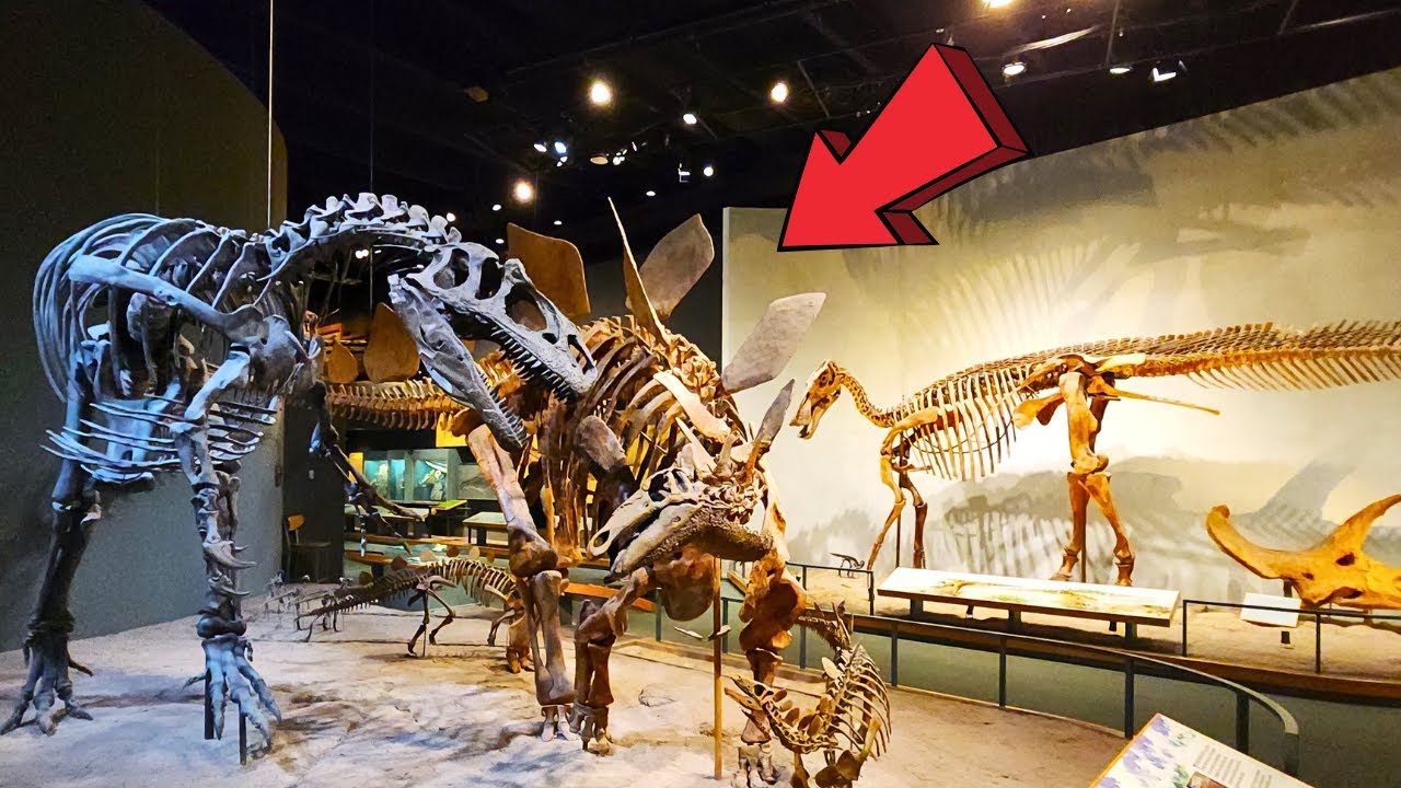 Museum of Nature & Science Denver Colorado Full Tour 