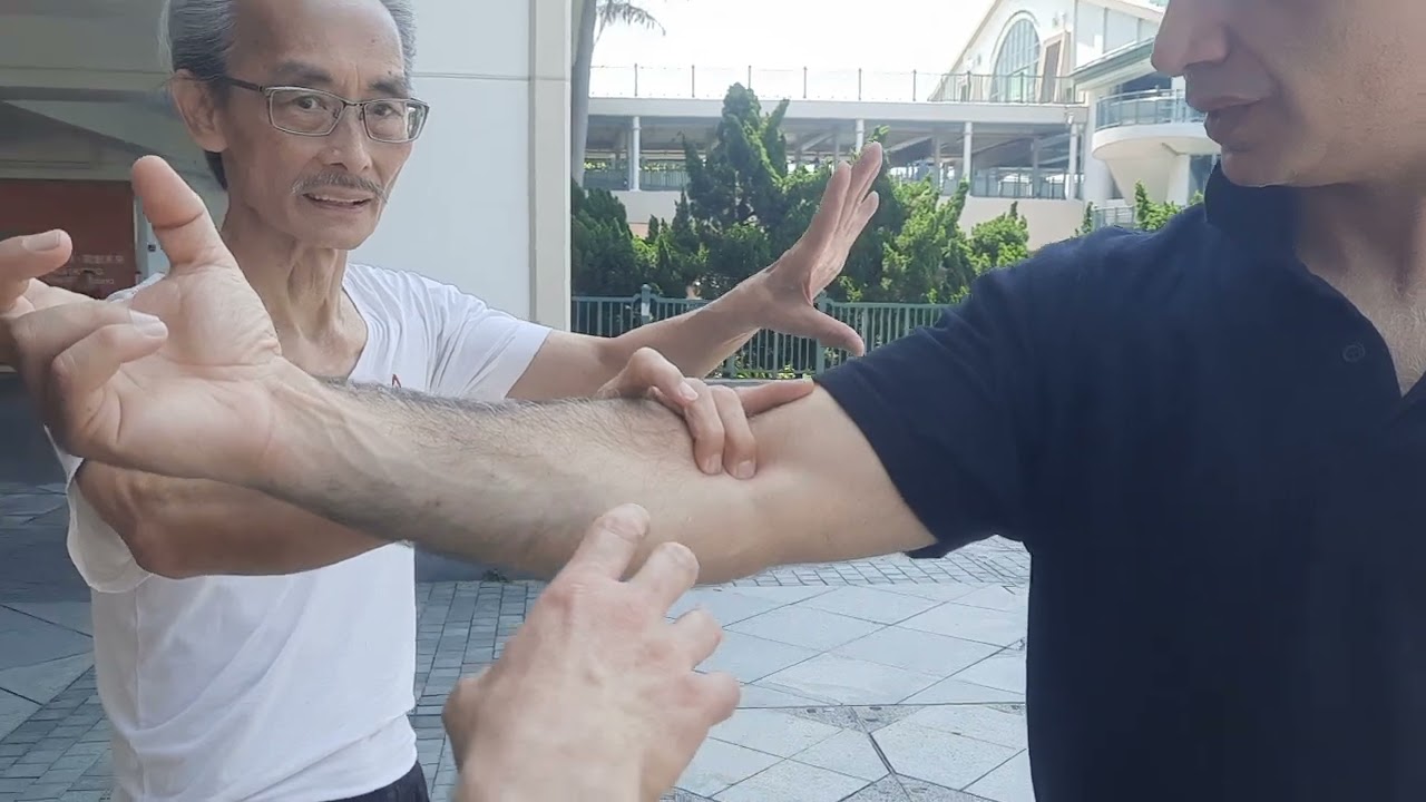 GM SIFU CHE KONG MAK EXPLAINS SOME DETAILS ABOUT HUNG GAR/WING CHUN