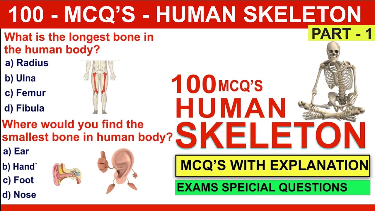 100 human skeleton mcqs  | human skeleton mcqs question and answers | #humanskeletalsystem