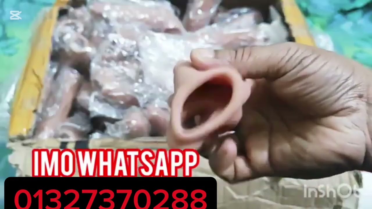 Mini Dragon Condom review 2025//How to use reusable condom//Magic Condom price in Bangladesh