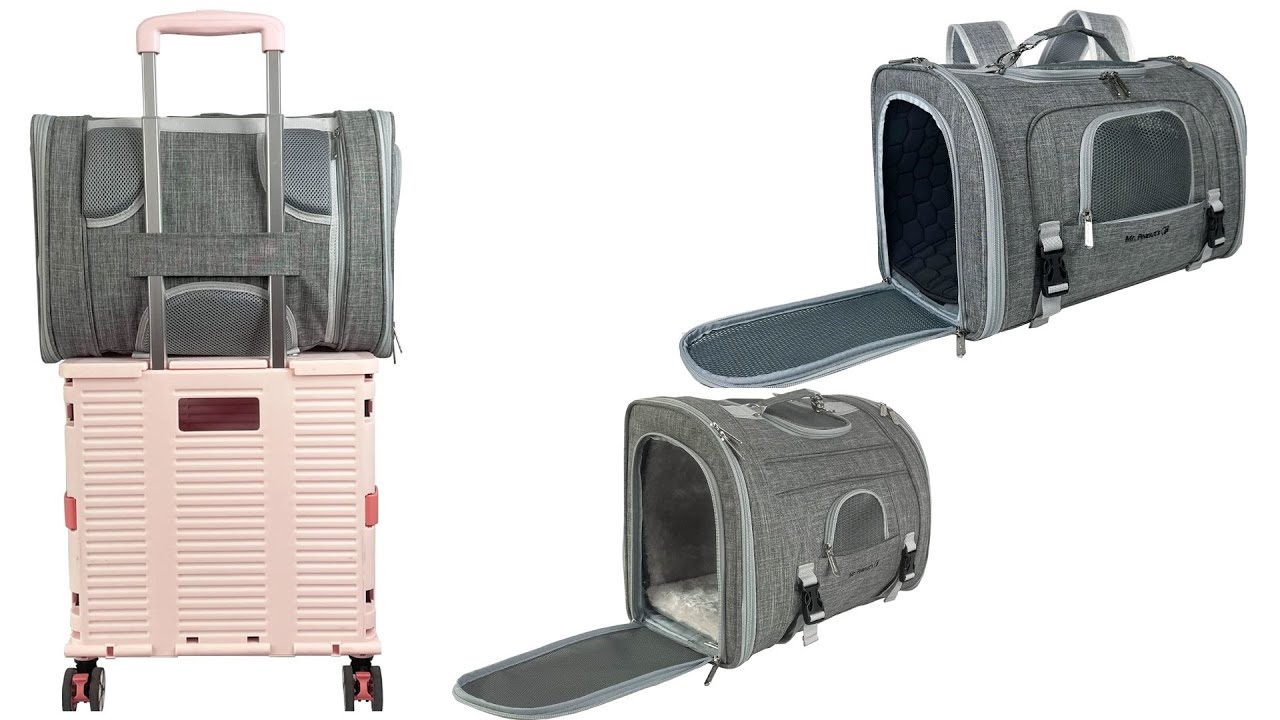 Mr  Peanut's Pet Carrier Convertible Backpack Buying Guide