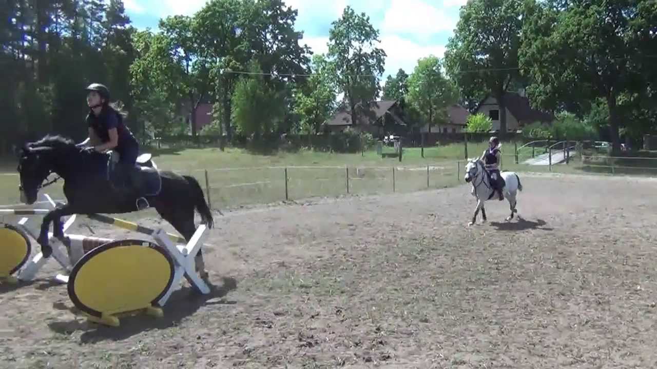 SKJ Poland Park - 2013 zgrupowanie w Raciborze - kadra kucyki - skoki do 100 cm