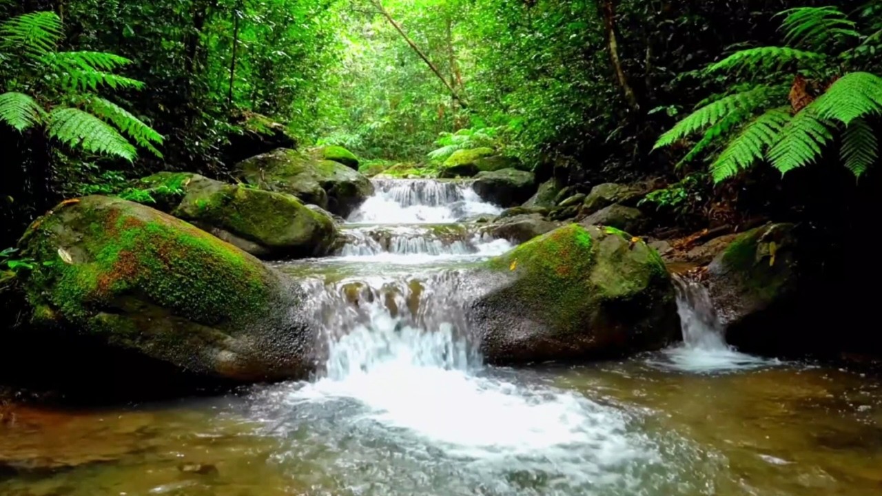 NATURAL RIVER SOUNDS ASMR | PEACEFUL WATER FLOW FOR DEEP SLEEP AND STUDYING BETTER