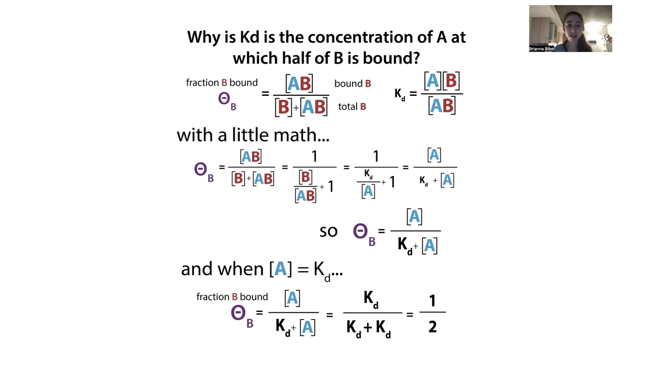Why Kd doesn't depend on concentrations, but what you measure might; binding vs titration range, etc