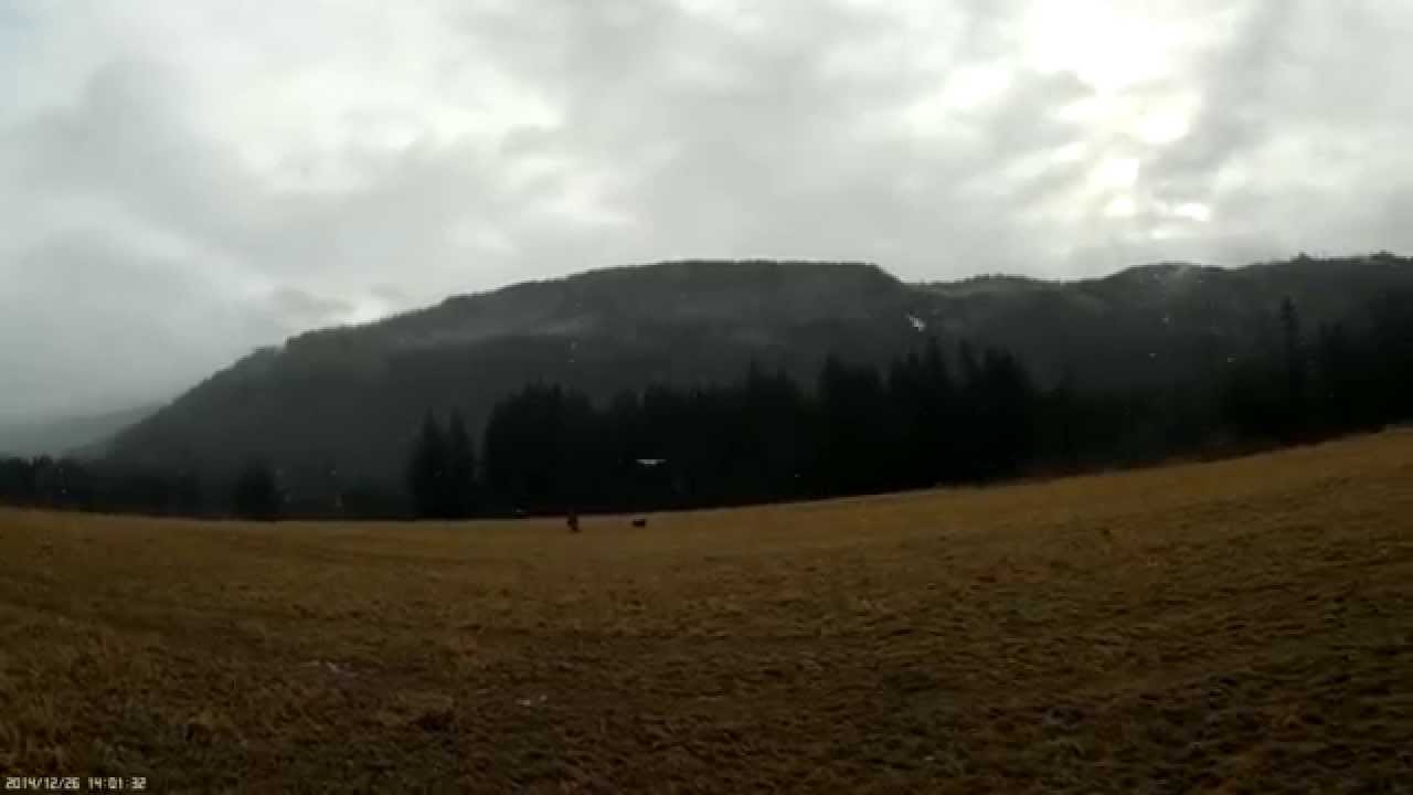 The Best RC Trainer Plane Ever - EFlite Apprentice with SAFE Maiden Flight