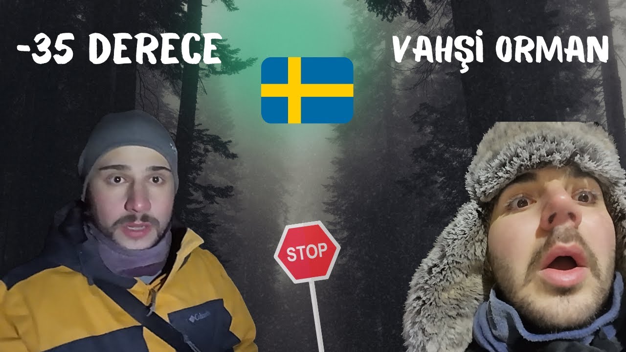 Kuzey Işıkları Uğruna İsveç Ormanlarında Kaybolduk!