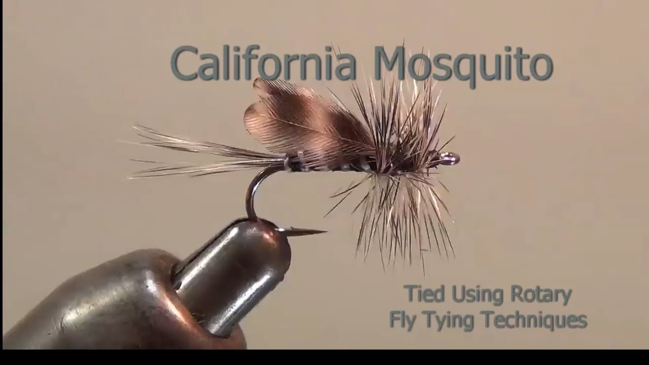 California Mosquito