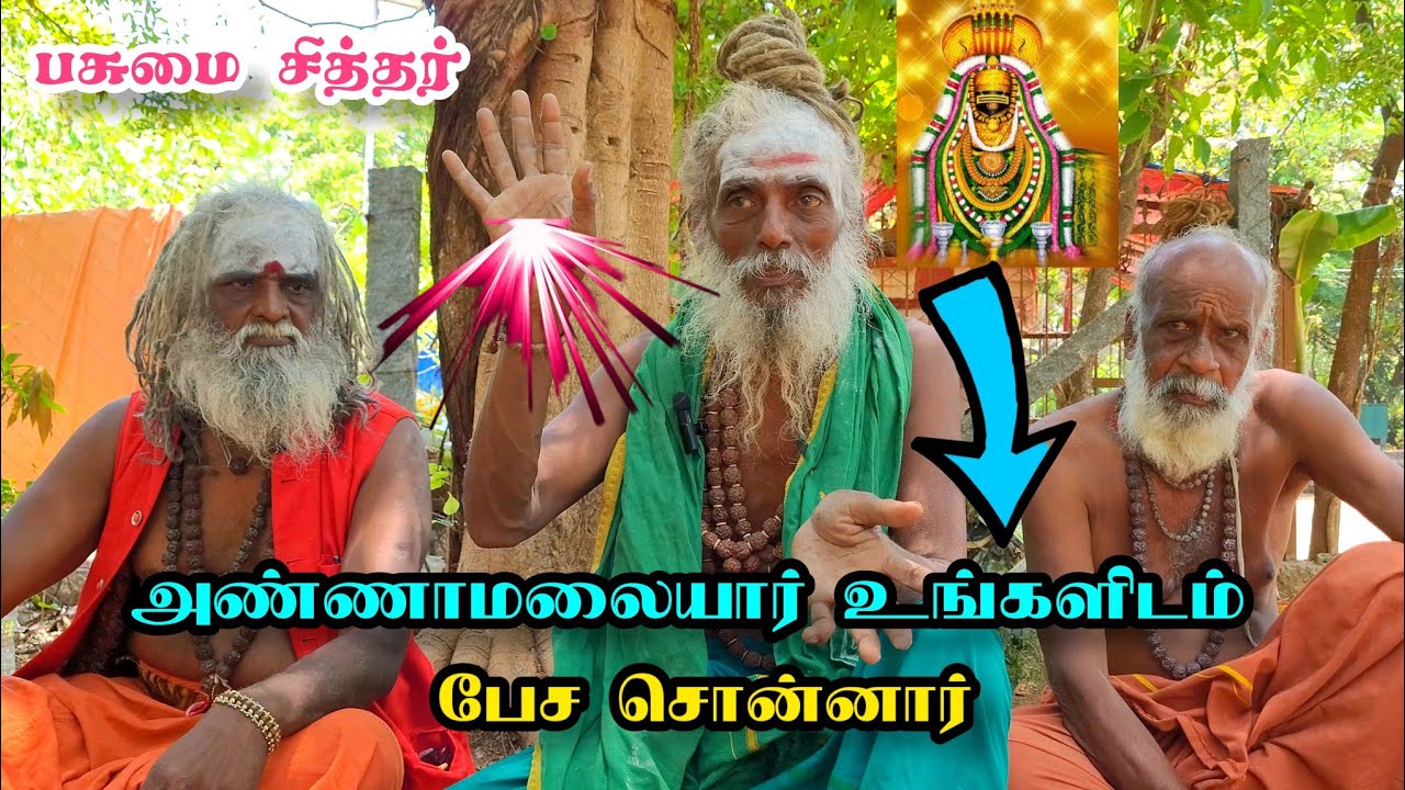 😱🥺அண்ணாமலையார் உங்களிடம் பேச சொன்னார்🙏🕉 பசுமை சித்தர்😳திருவண்ணாமலை♥️🫰🤩  