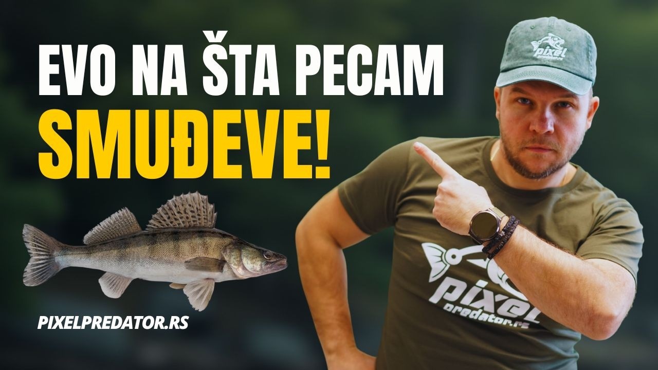 Pecanje smuđa na ubitačne šedove