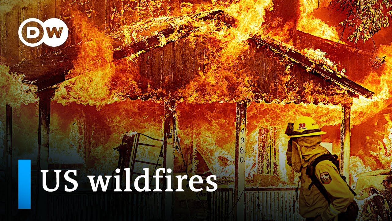 US heat wave: Wildfire season could be the most destructive yet | DW News