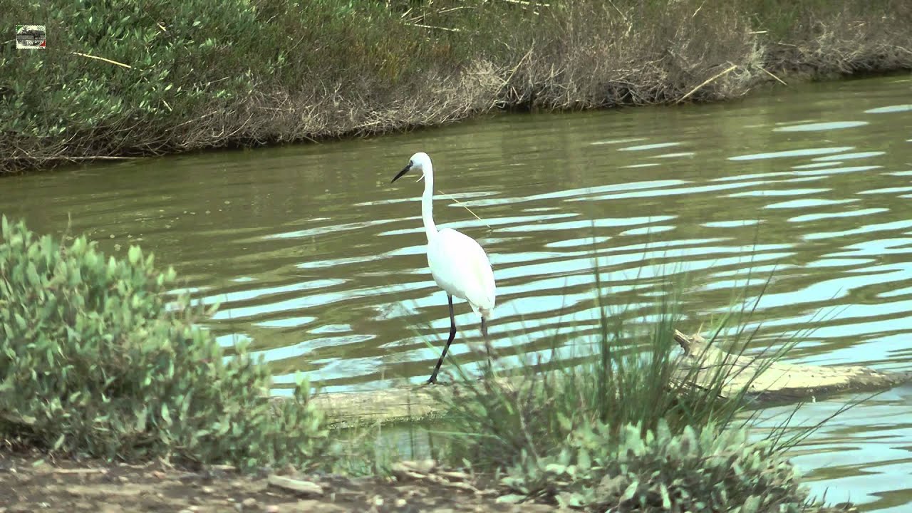 Riserva Naturale Diaccia Botrona