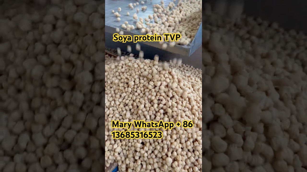 TVP Soya protein nugget vegetarian Soya meat  Vagan food extrusion machine Soya Nuggets Soya Chunks