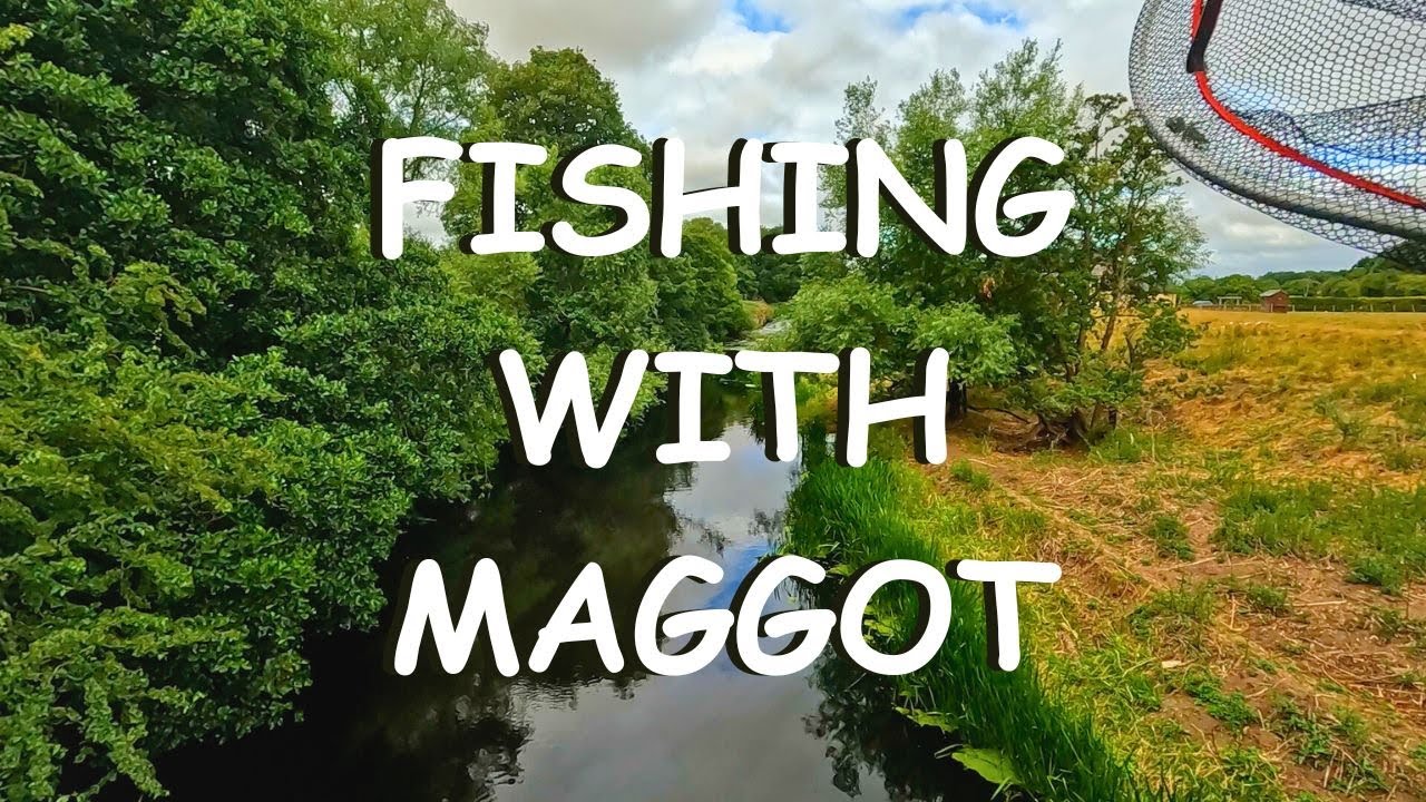 Ep 67 - Maggot Fishing on the River Nidd | 100th video