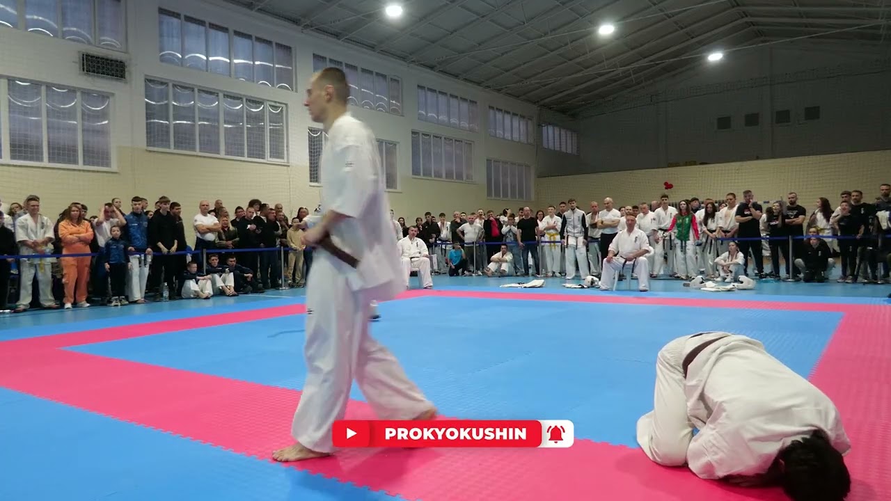 Final -80 Marian Balabanov - Rostislav Todorov (aka) KWU SENSHI Bulgarian #kyokushin championship