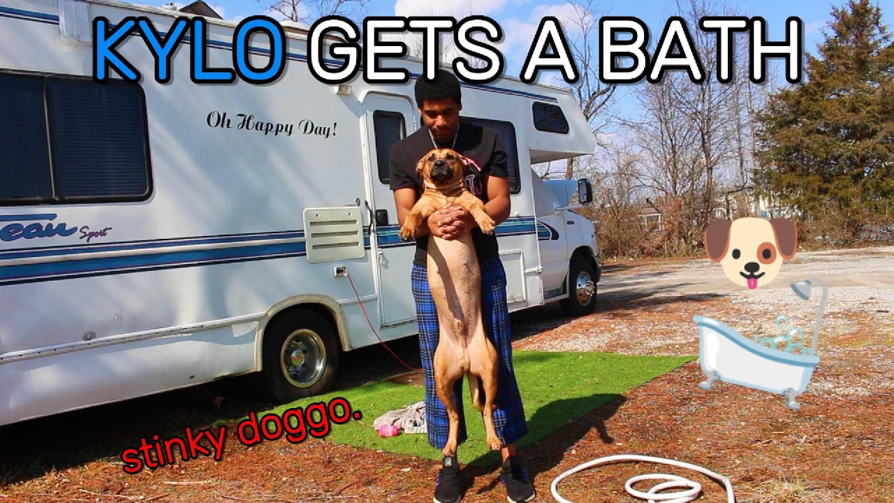 KYLO GETS A BATH!! #rvlife #motorhome