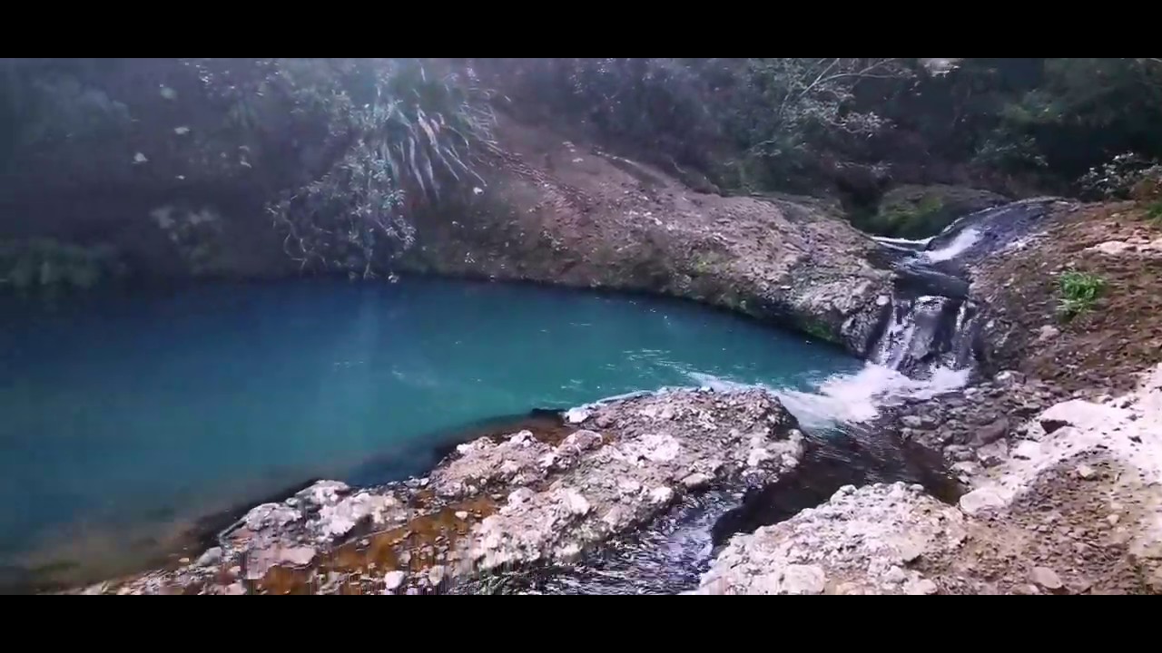 Why New Zealand Highlights: Waitakere Ranges, Auckland