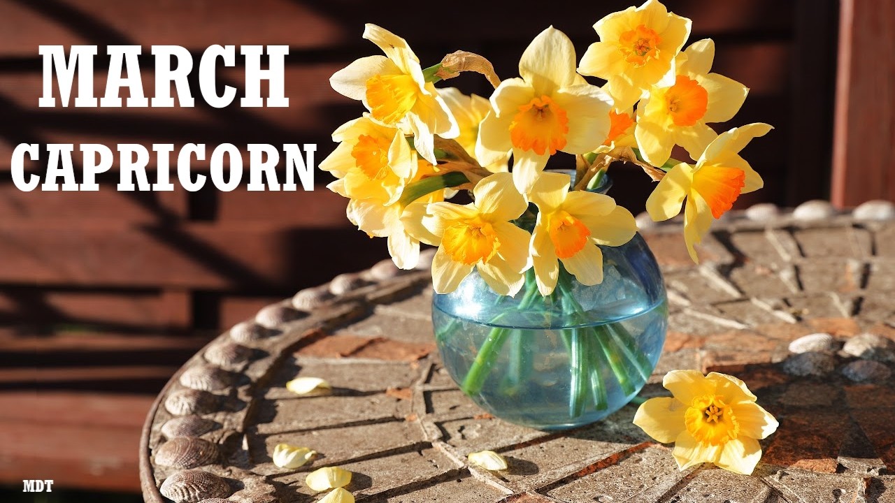 Capricorn Monthly Tarot Reading ~ March 2026 ~ MOVING FORWARD... NO MATTER WHAT! SUCCESS BY EOM!