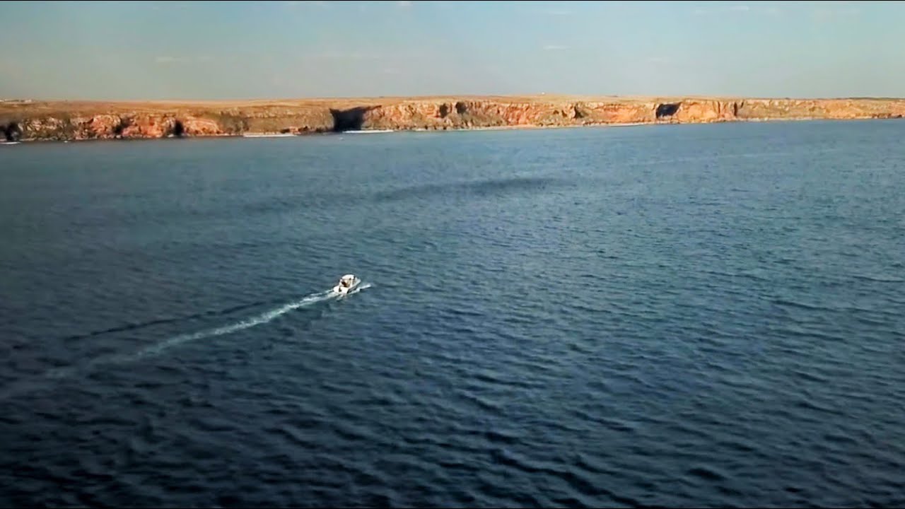 Hunting bluefin tuna from the air!