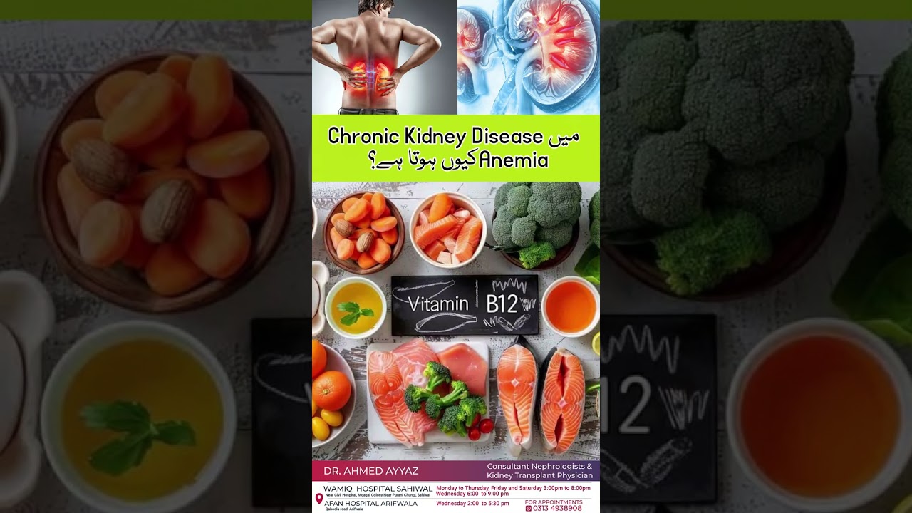 Renal Anemia Explained: Why Iron Tablets Are Not Enough