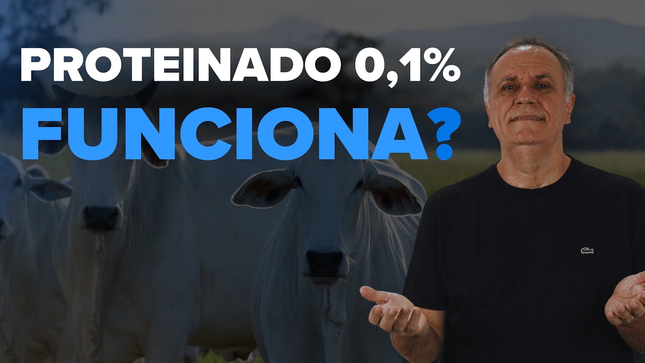 Quanto de ganho posso ter com Proteinado 0,1%?