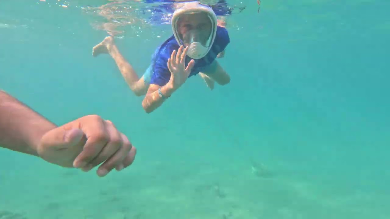 Fische Tour | Sunrise Garden Beach Resort | Ägypten 🇪🇬