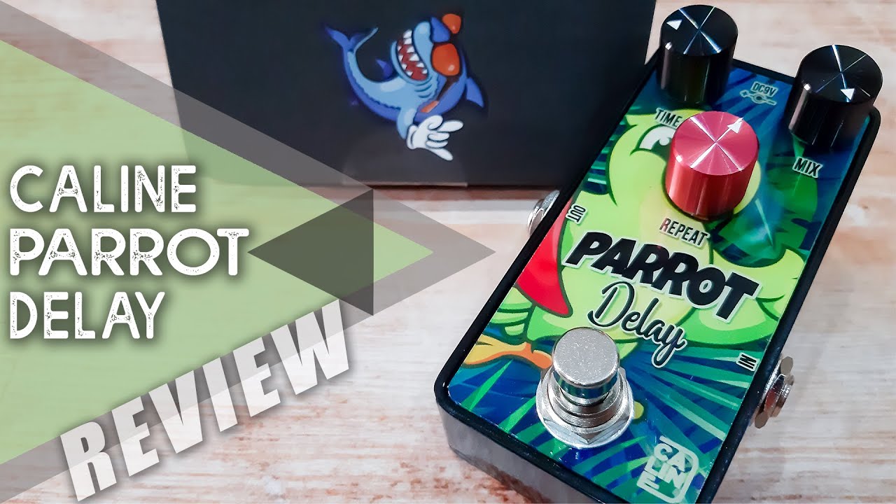 AWESOME Budget PEDAL | Caline G-010 PARROT Delay | VIDEO REVIEW [NO TALK]