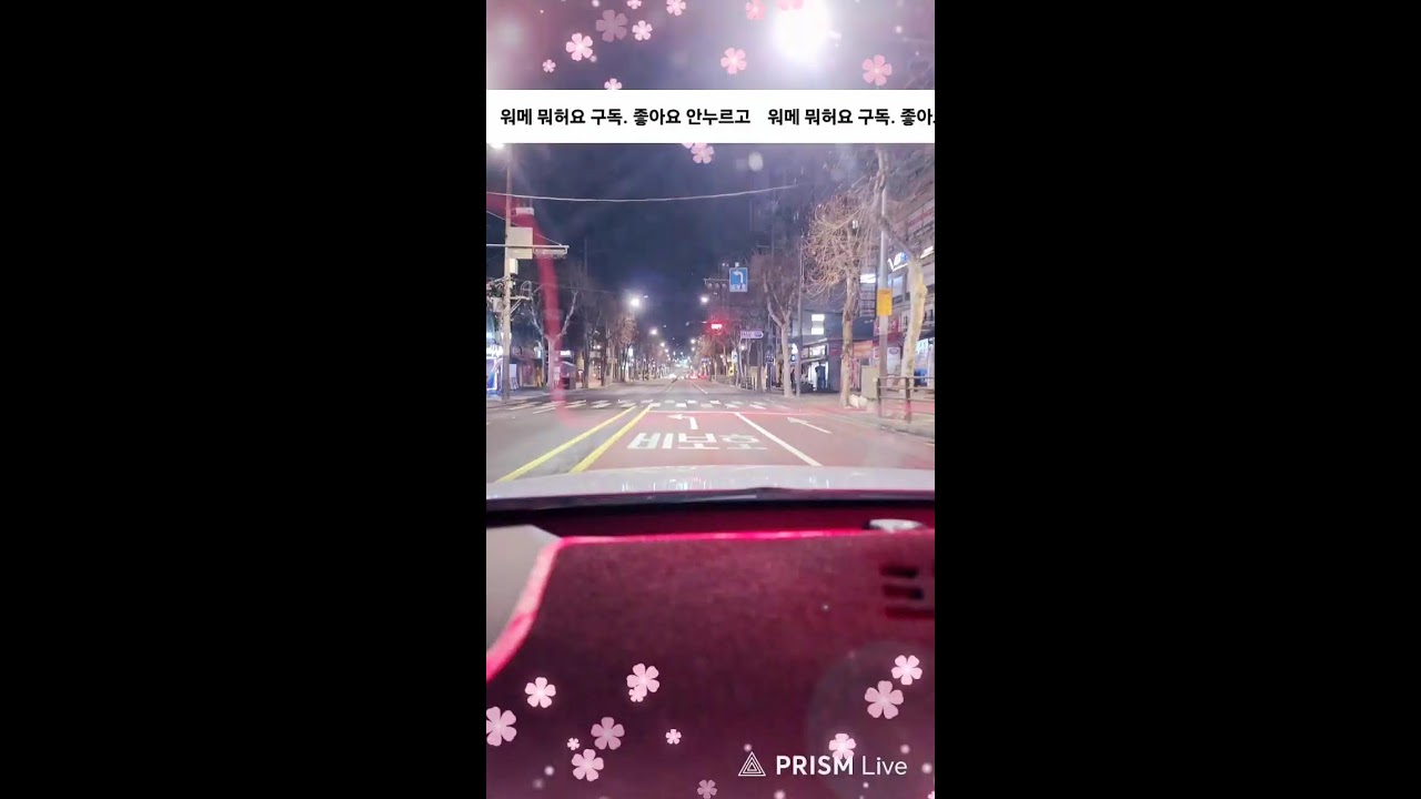 택시 왕 초짜 라이브 방송