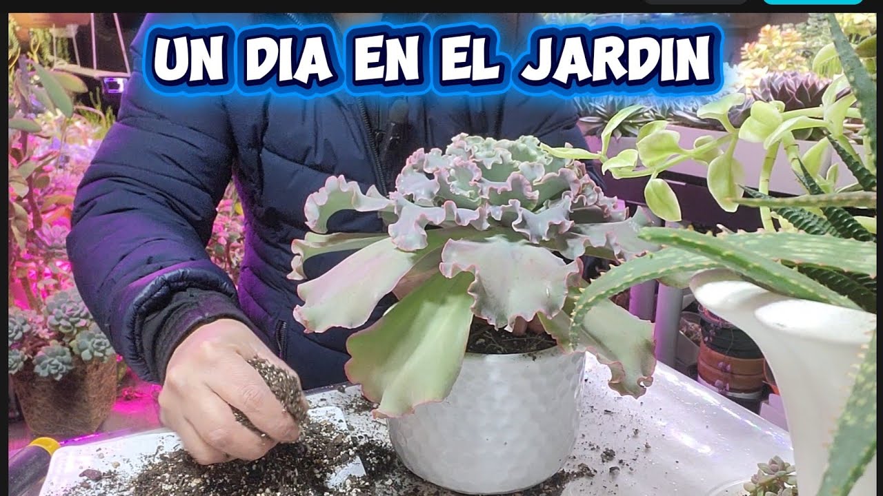 Un dia en el Jardin/Acompañame 
