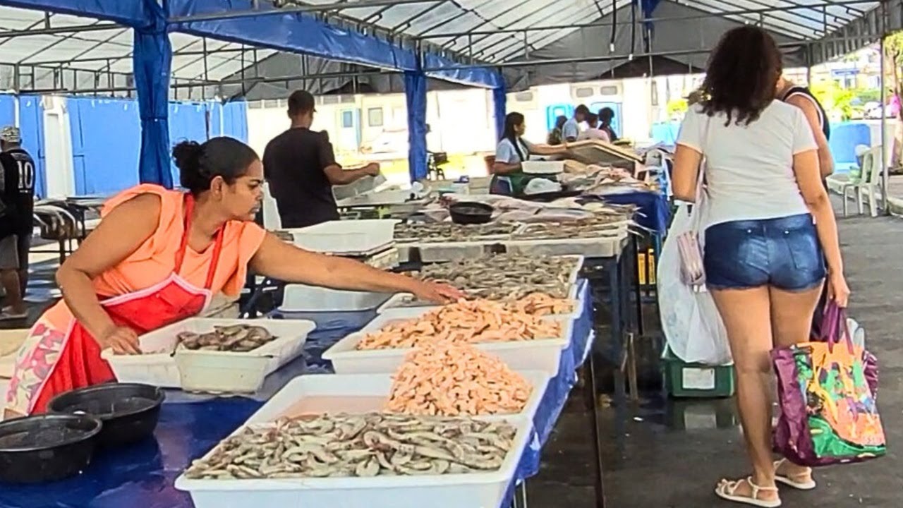 Fartura e Riqueza no Setor de Pescados 🐟 no Mercado de Aracaju /Se