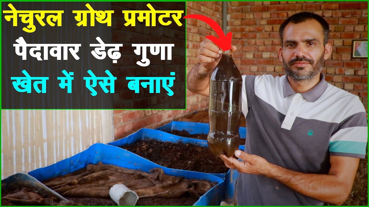 वर्मीवाश इकट्ठा करने का गजब तरीका || नेचुरल ग्रोथ प्रमोटर || पैदावार डेढ़ गुना तक बढ़ेगी ||