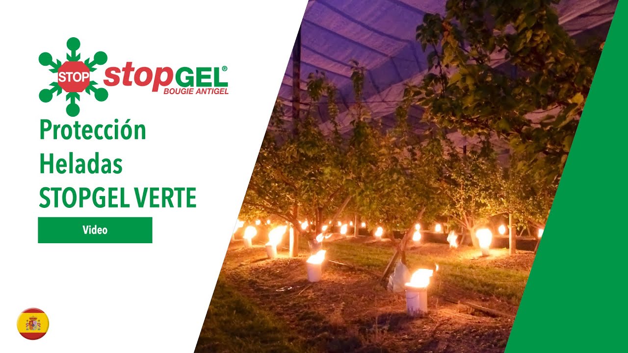 Protección contra las Heladas de Primavera con STOPGEL VERTE - VELA ANTICONGELANTE