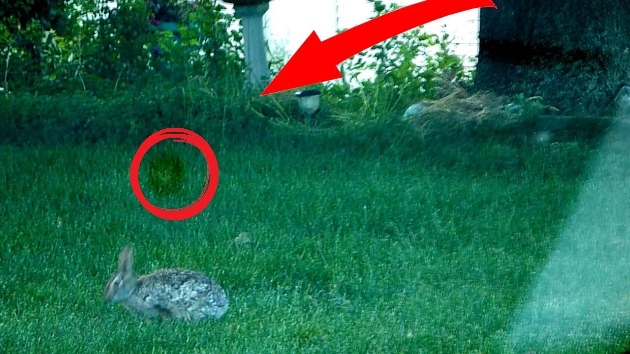 No Ghost Caught On Tape In This Video!