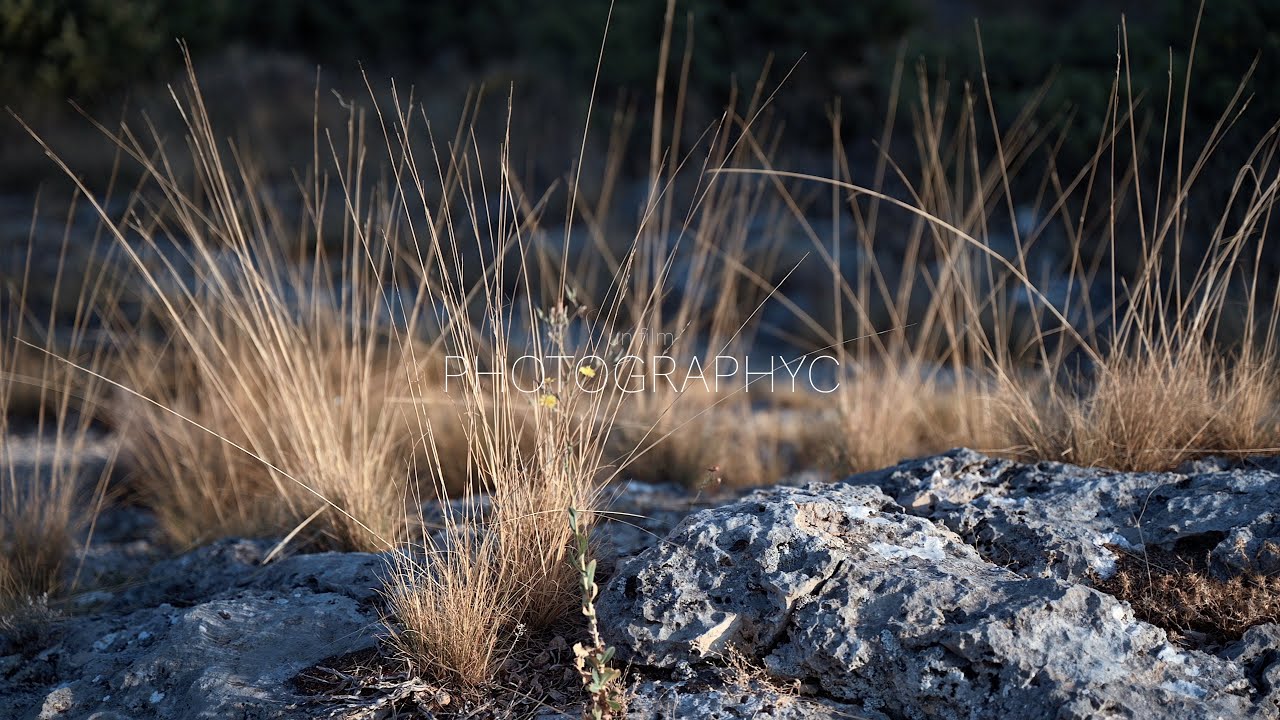 Les Mourres  - Forcalquier