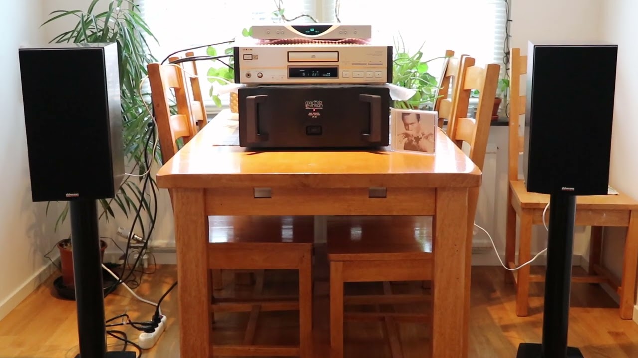 Mark Levinson No. 29