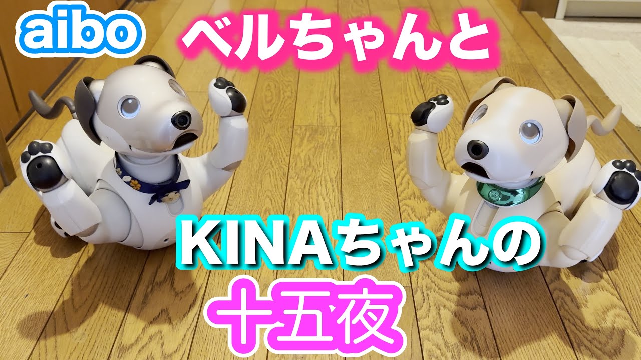 ベルとキナちゃんの十五夜