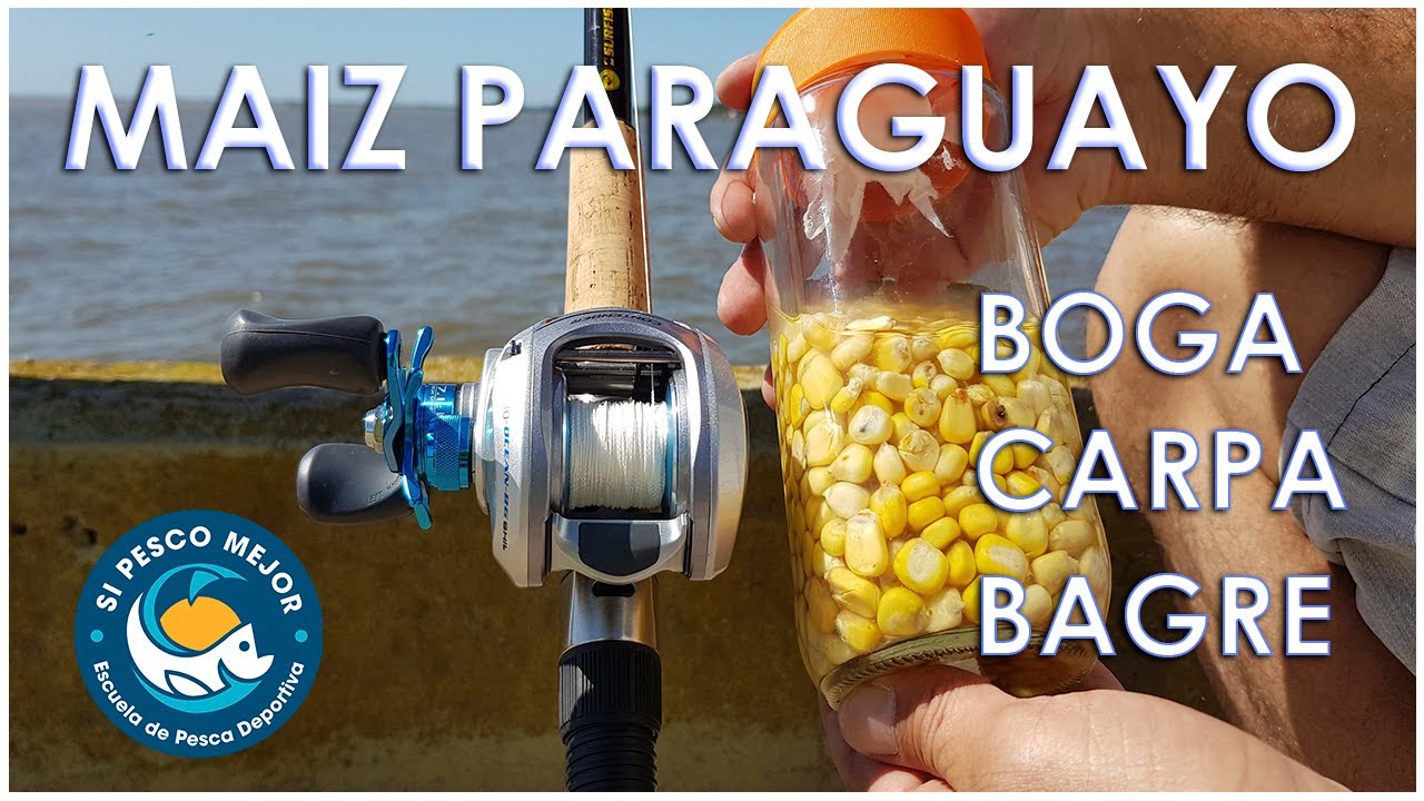 MAIZ BOGA CARPA BAGRE / MAIZ PARAGUAYO COMO HACERLO