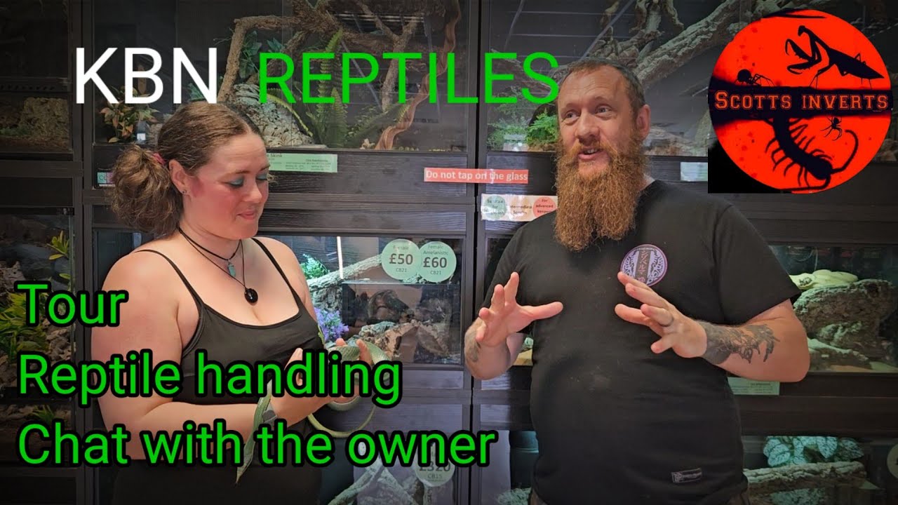 I took a trip to my local reptile store #kbnreptiles #reptiles
