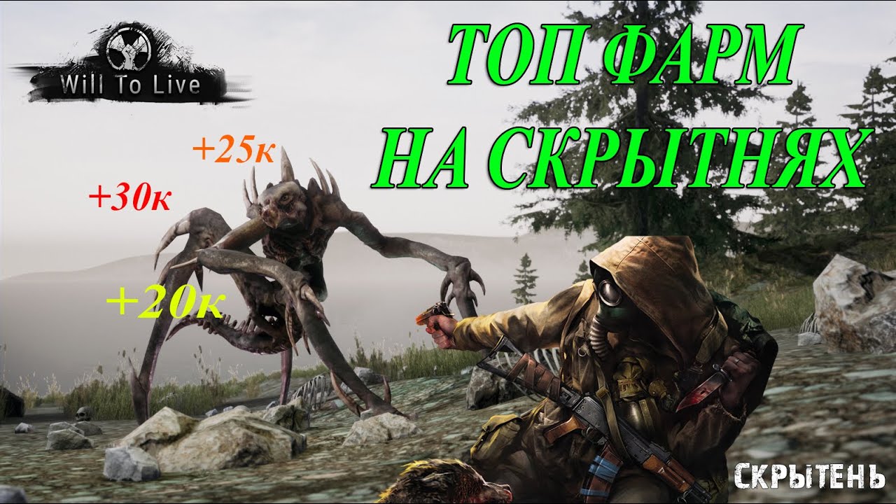ФАРМ НА СКРЫТНЯХ / WILL TO LIVE ONLINE