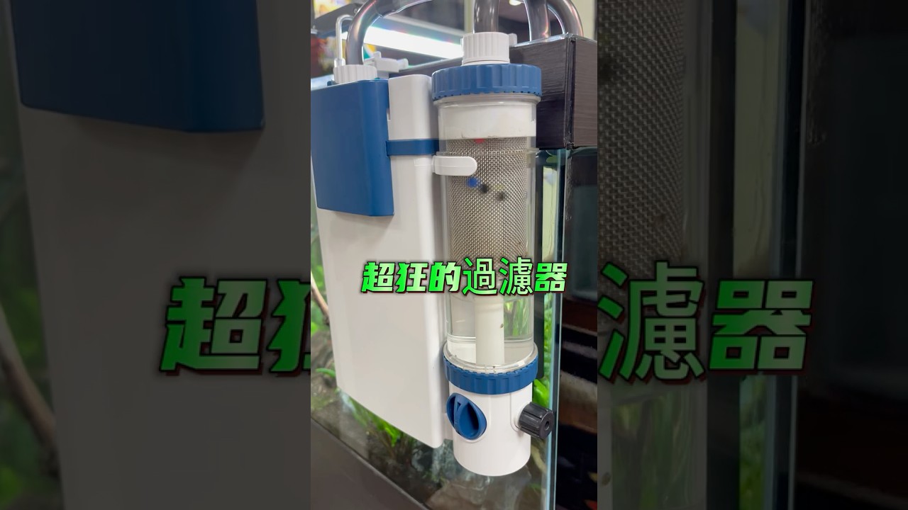 超狂過濾器可以延長魚缸換水時間 #shorts  #aquarium #水族 #魚 #水草