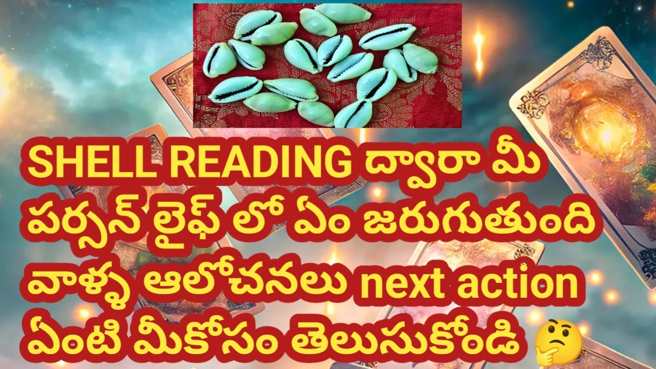 ❤💯❤Shell reading ద్వారా మీ పర్సన్ లైఫ్ లో ఏం జరుగుతుంది వాళ్ళఆలోచనలు next action ఏంటి తెలుసుకోండి🤔
